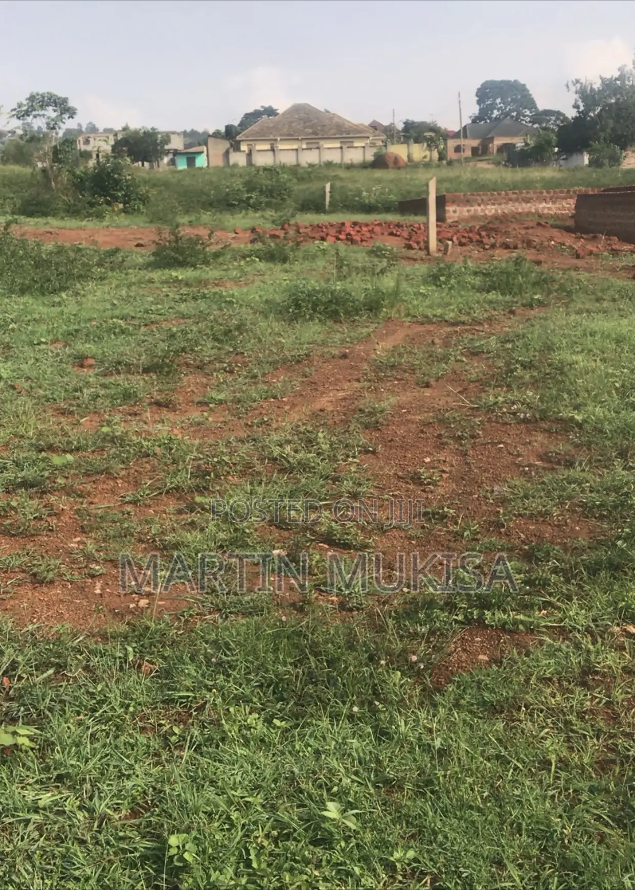 Broilers for Sale