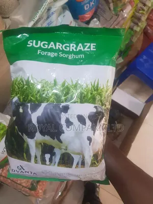 Sugargraze Forage Sorghum Advanta 1kg
