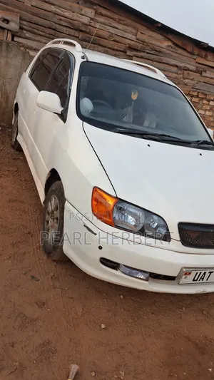 Toyota Ipsum 1997 White