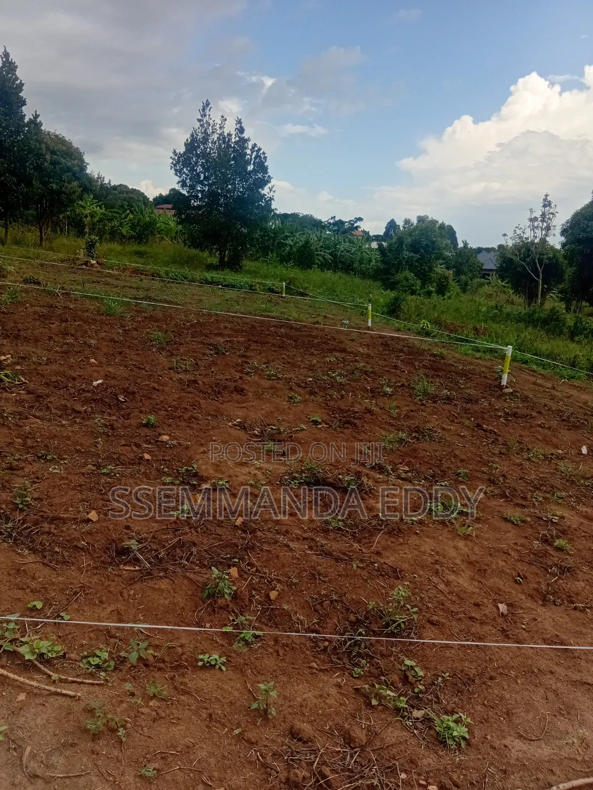 New Estate at Bukemba Magigye Kizawula Plots for Sale