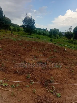 New Estate at Bukemba Magigye Kizawula Plots for Sale
