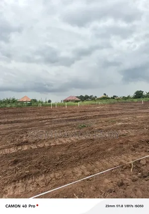 New Estate at Bukemba Magigye Kizawula Plots for Sale
