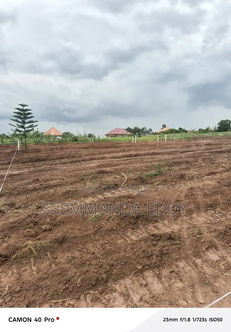 New Estate at Bukemba Magigye Kizawula Plots for Sale