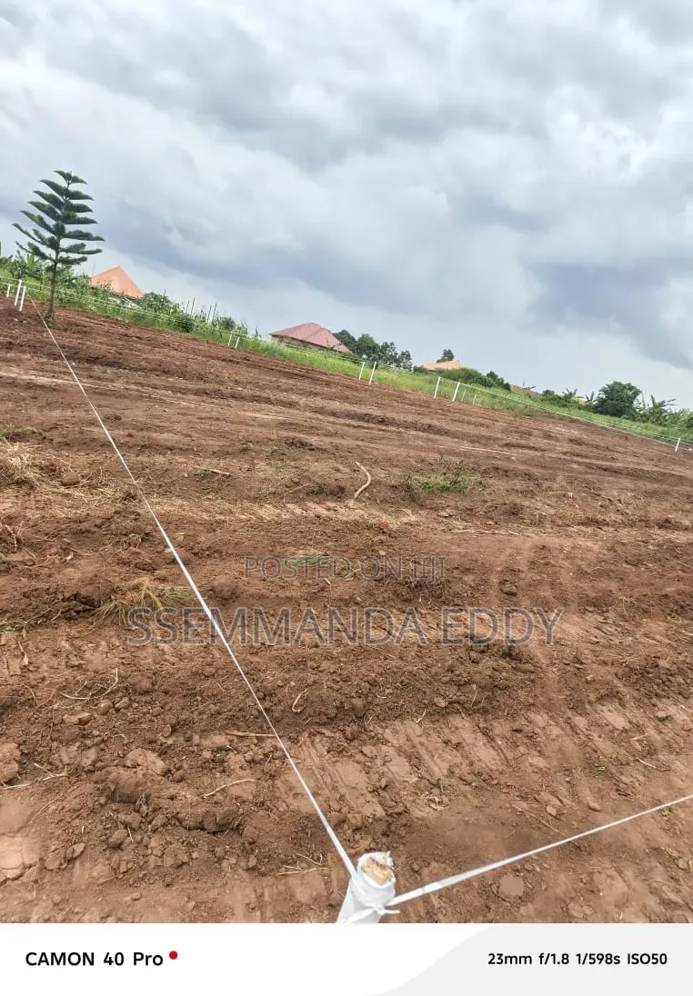 New Estate at Bukemba Magigye Kizawula Plots for Sale