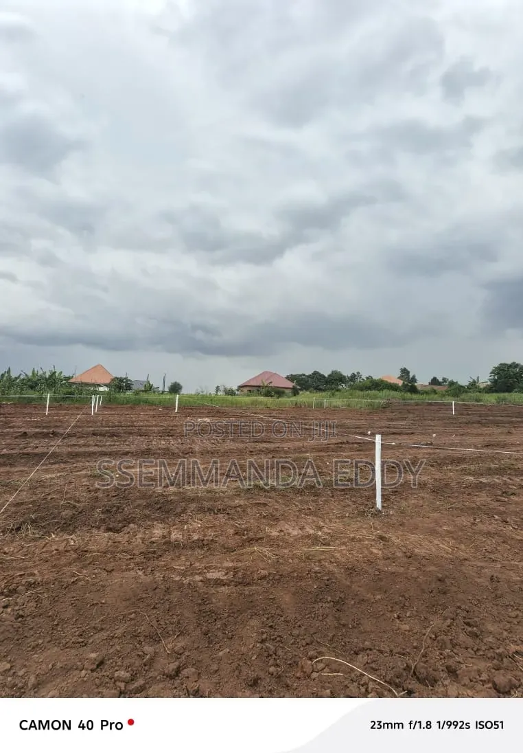 New Estate at Bukemba Magigye Kizawula Plots for Sale