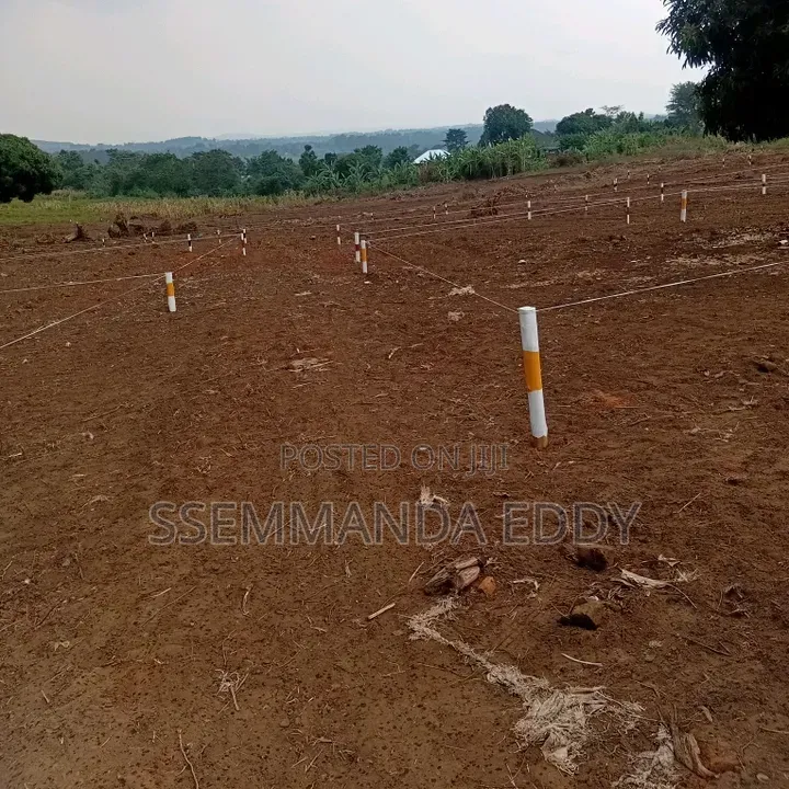New Estate at Bukemba Magigye Kizawula Plots for Sale