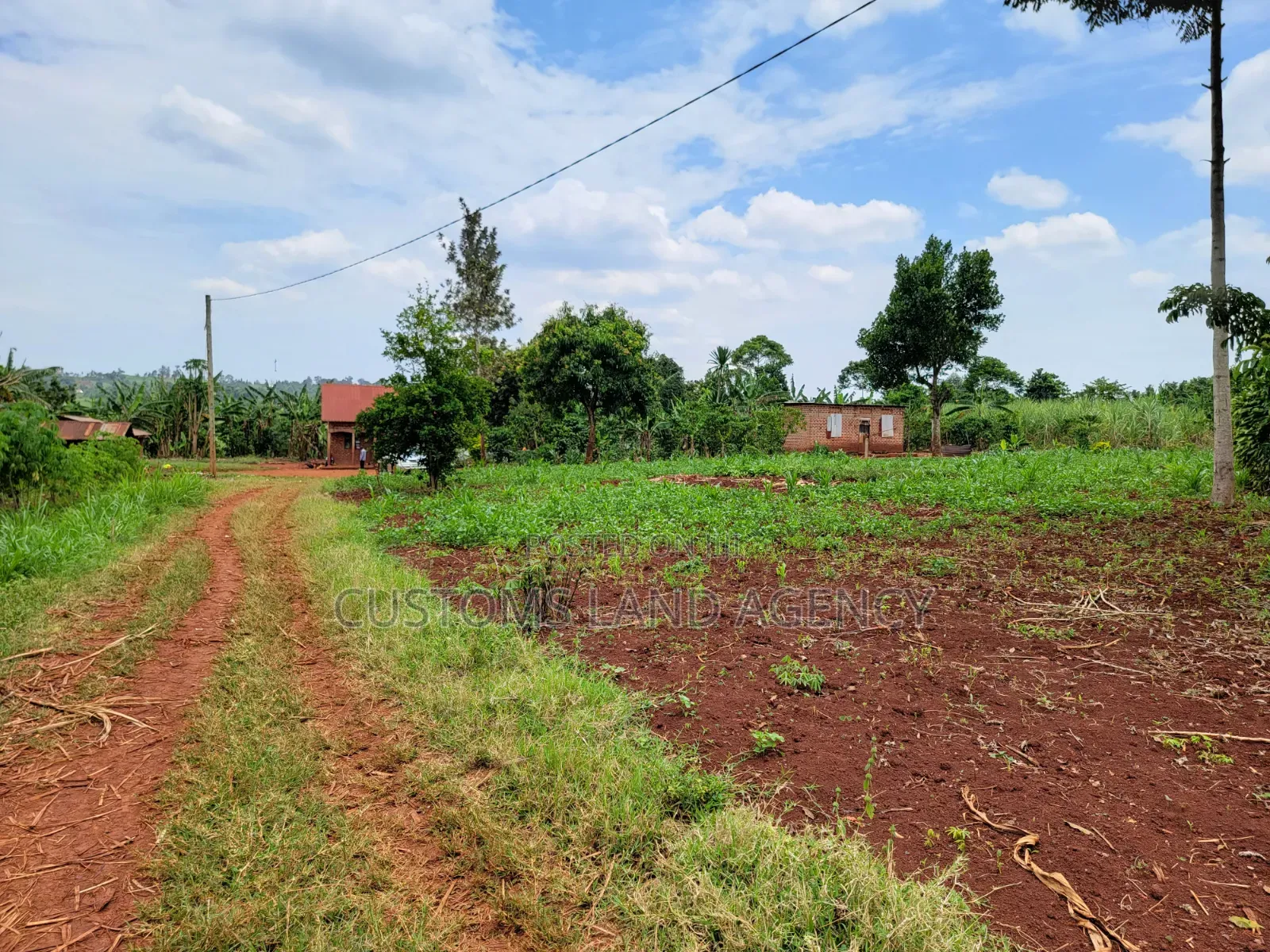 113ft by 160ft Plot for Sale at Kabowa-Kampala Jinja City