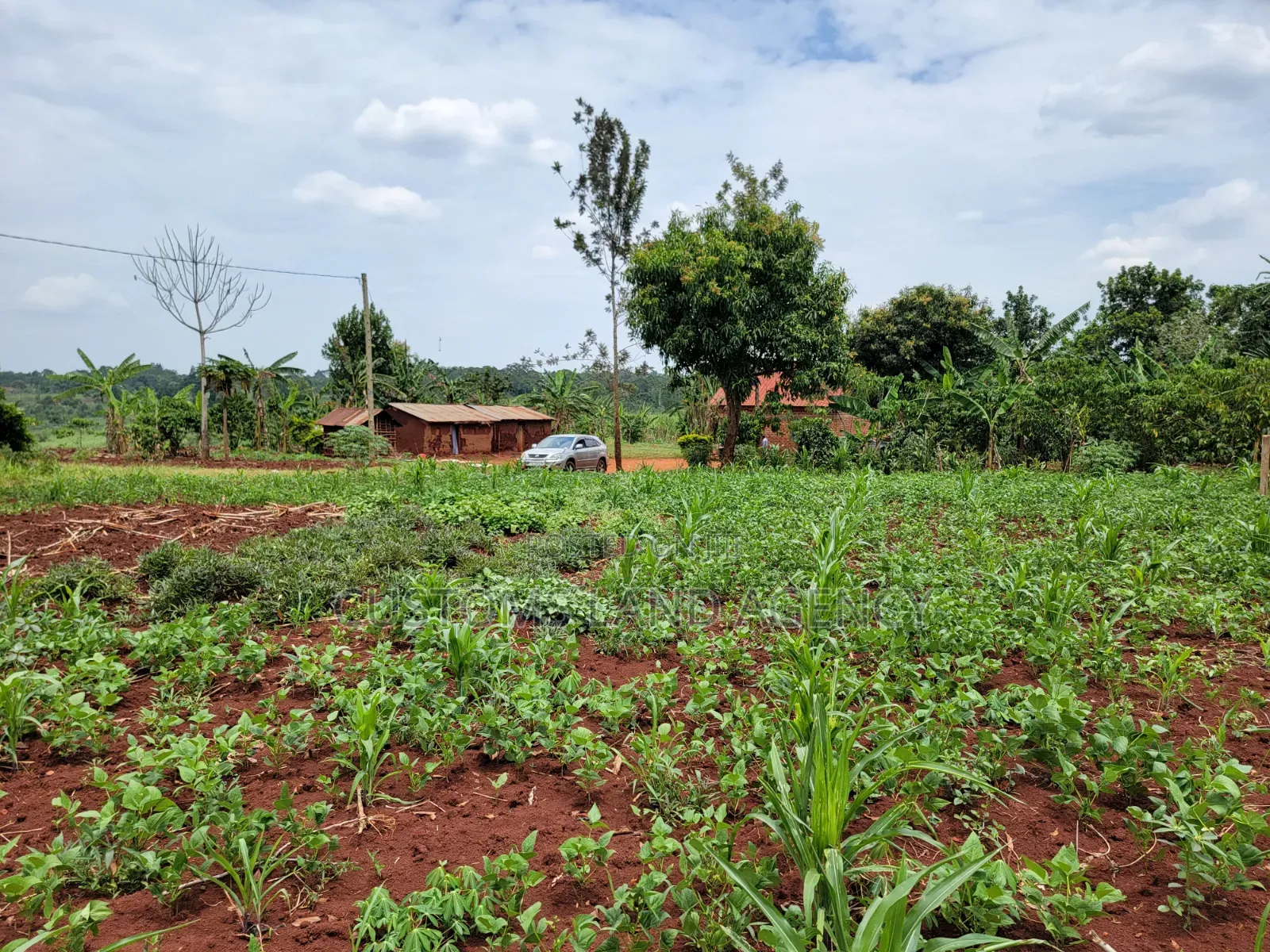 113ft by 160ft Plot for Sale at Kabowa-Kampala Jinja City