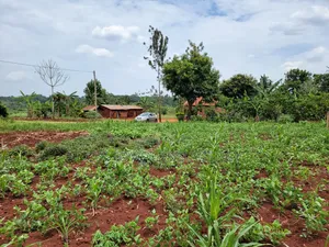 113ft by 160ft Plot for Sale at Kabowa-Kampala Jinja City