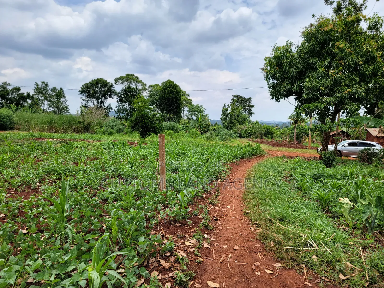 113ft by 160ft Plot for Sale at Kabowa-Kampala Jinja City