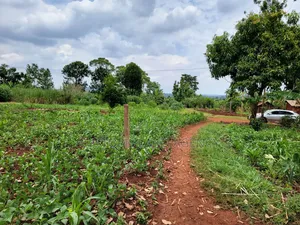 113ft by 160ft Plot for Sale at Kabowa-Kampala Jinja City