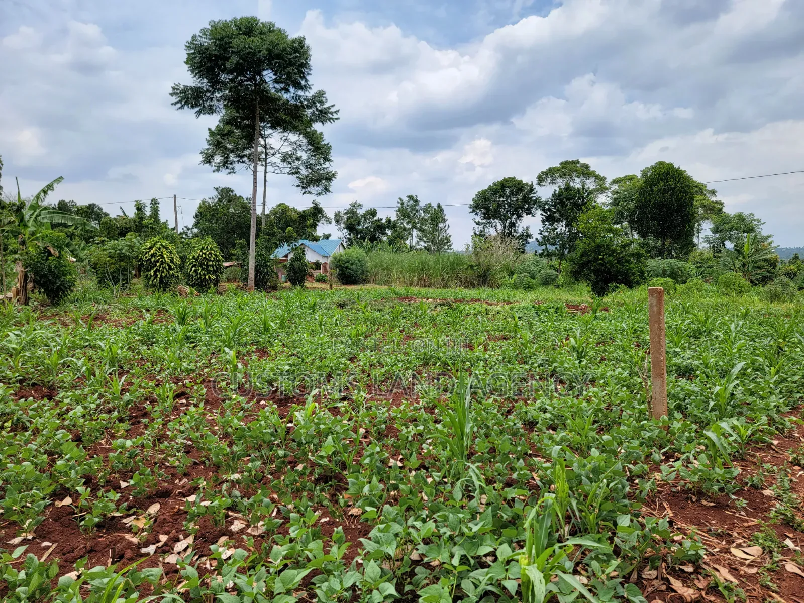 113ft by 160ft Plot for Sale at Kabowa-Kampala Jinja City