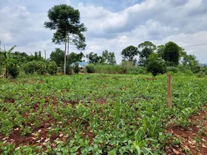 113ft by 160ft Plot for Sale at Kabowa-Kampala Jinja City