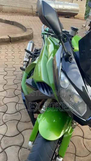 Kawasaki Ninja 1000 2014 Green