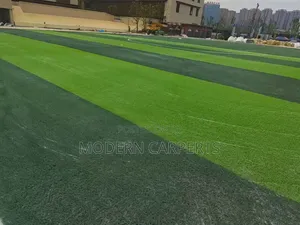 Fric Futss Artificial Turf.