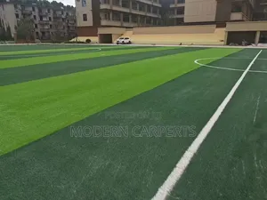 Fric Futss Artificial Turf.