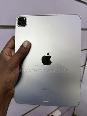 Apple iPad Pro 11 (2022) 256 GB Gray