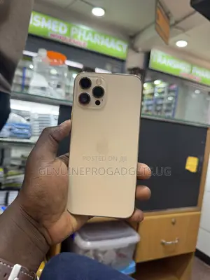 Apple iPhone 12 Pro Max 256 GB Gold