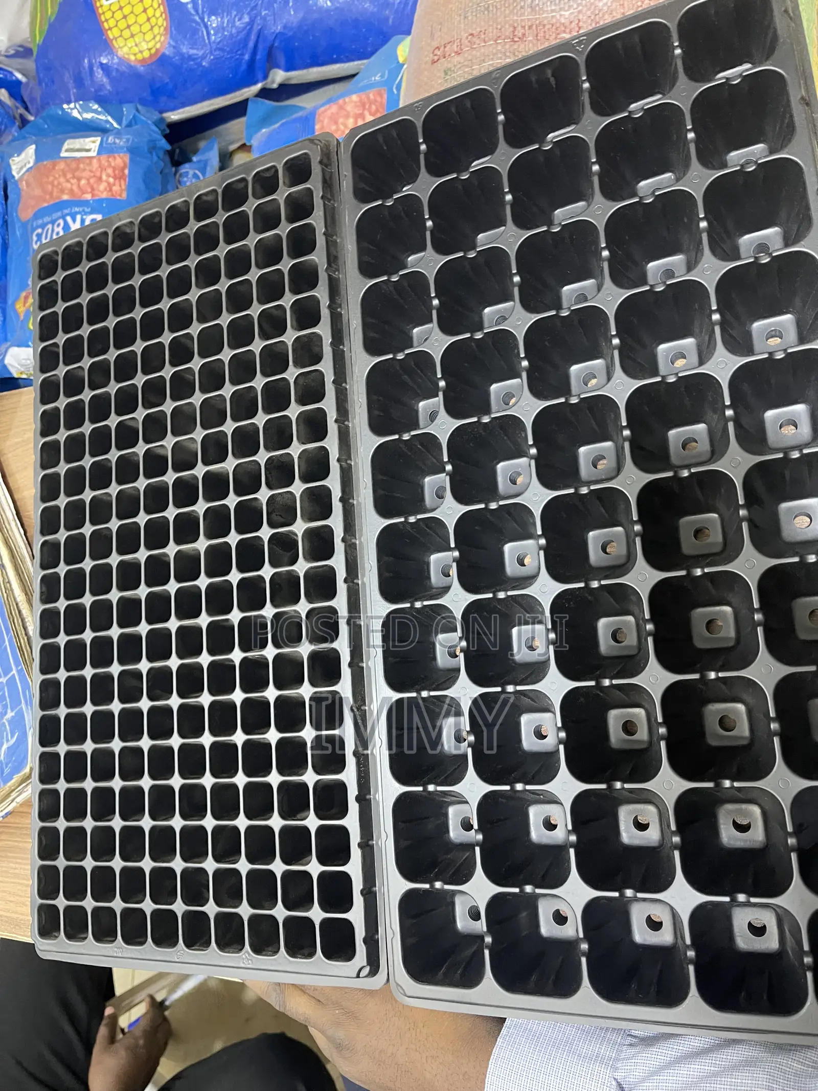 Seeding Trays
