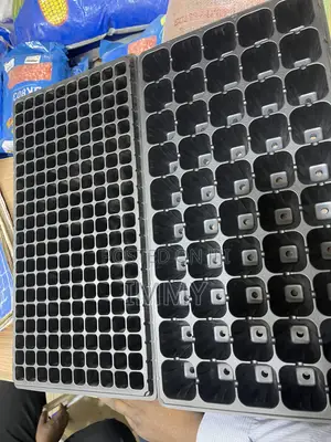 Seeding Trays