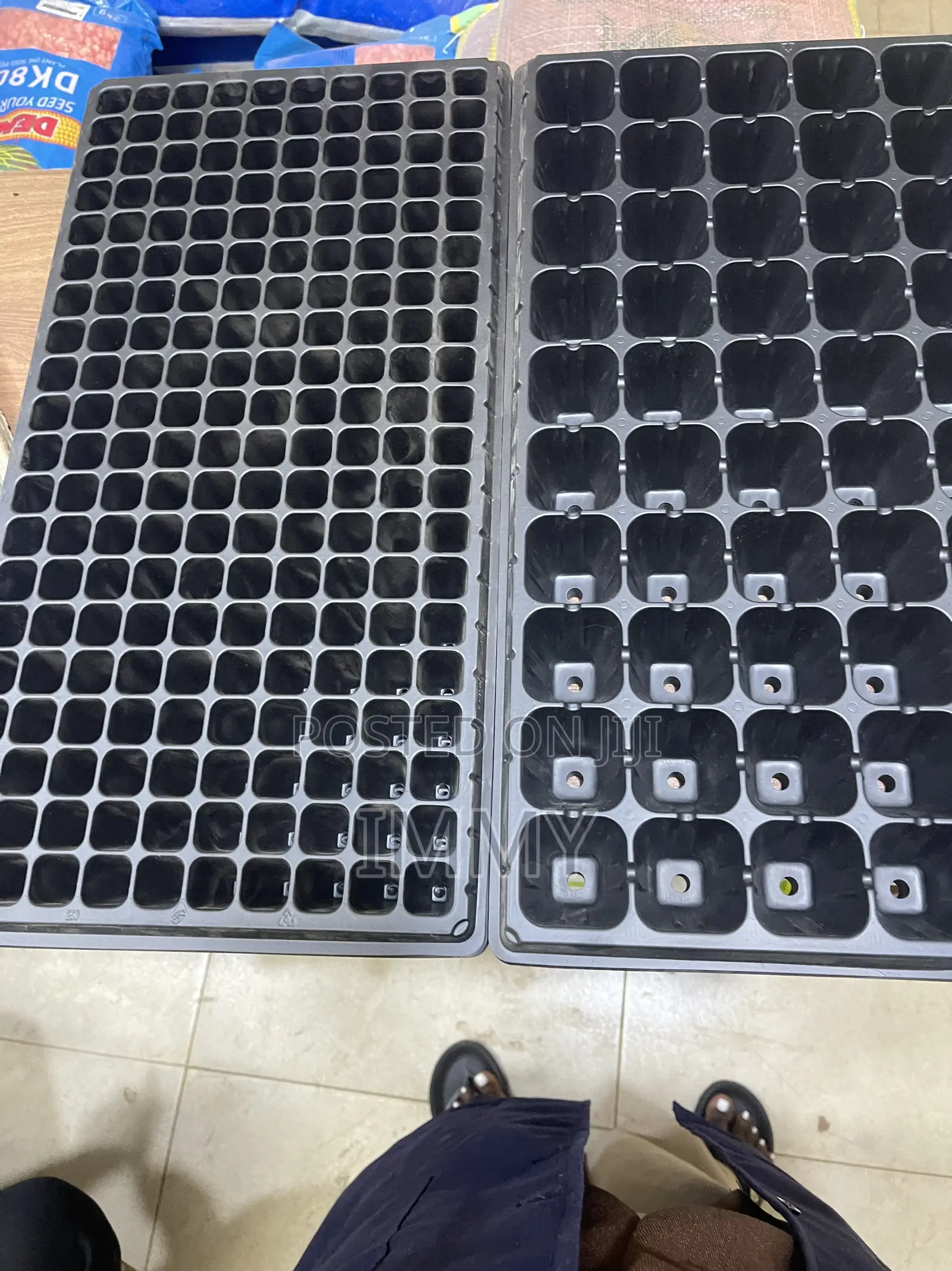 Seeding Trays
