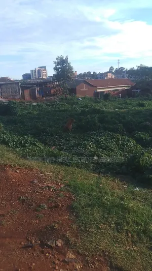 Commercial Land for Sale