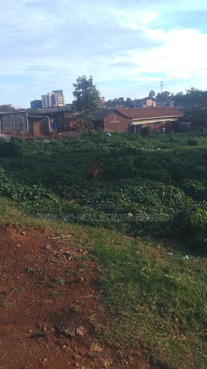 Commercial Land for Sale