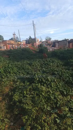 Commercial Land for Sale