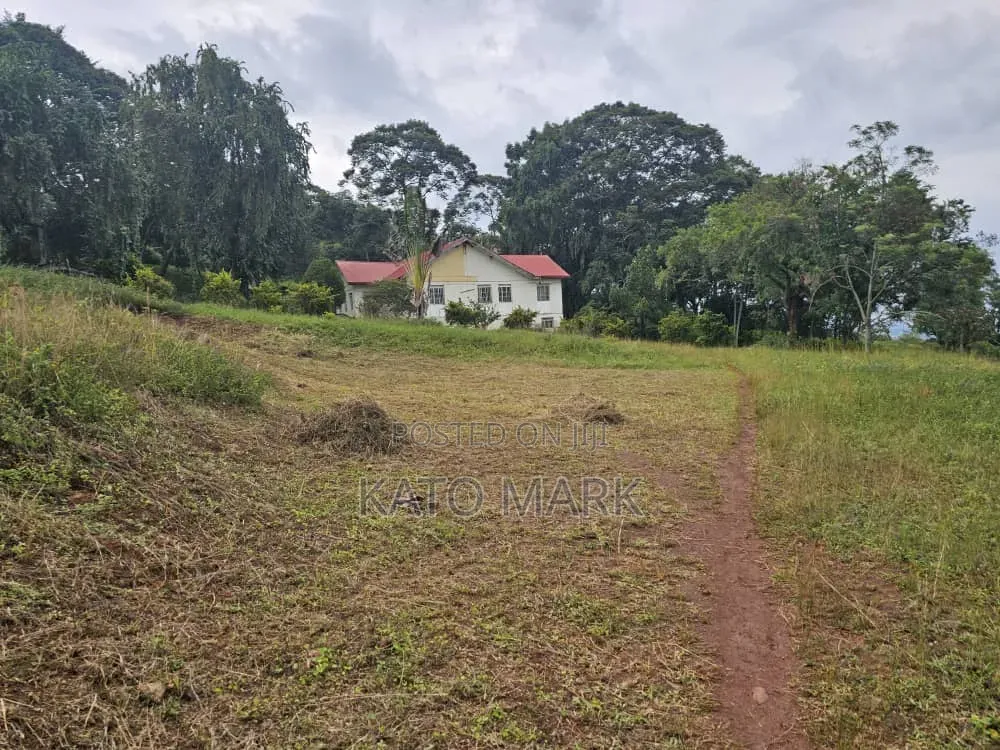 31 Acres for Sale Located at Mukono Katente
