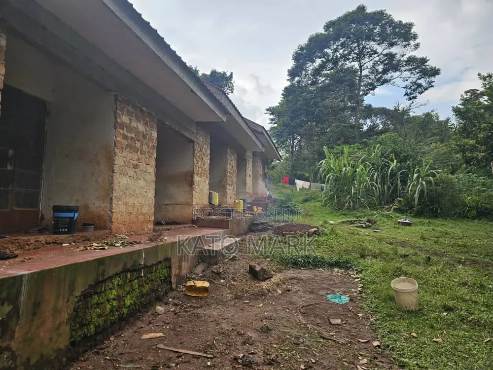 31 Acres for Sale Located at Mukono Katente