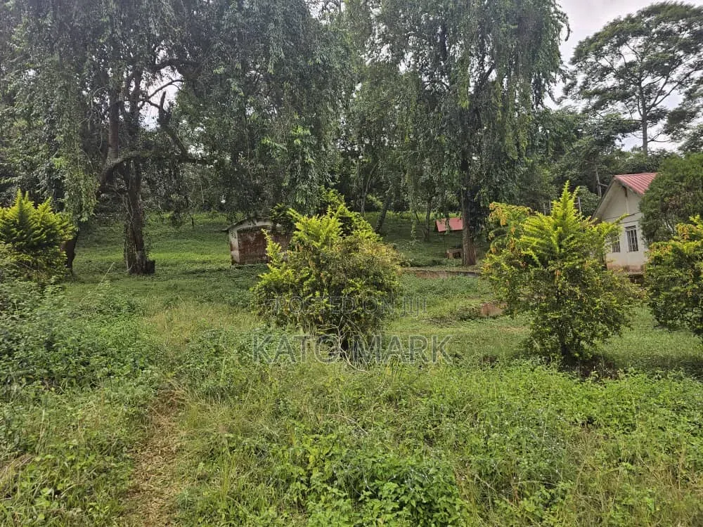 31 Acres for Sale Located at Mukono Katente