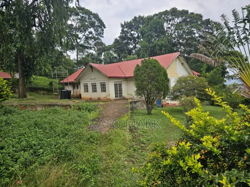 31 Acres for Sale Located at Mukono Katente
