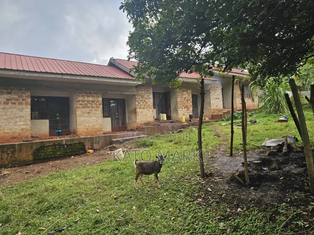 31 Acres for Sale Located at Mukono Katente