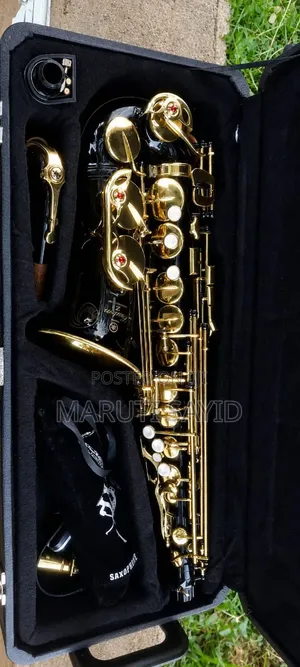  Alto Saxophone for Sale