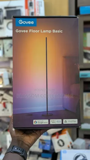 Govee RGB Floor Lamp Smart With Alexa