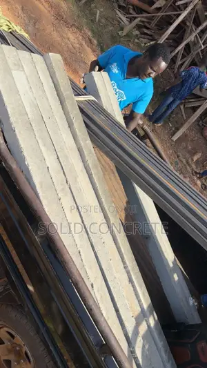 Fence Poles / Ebikondo