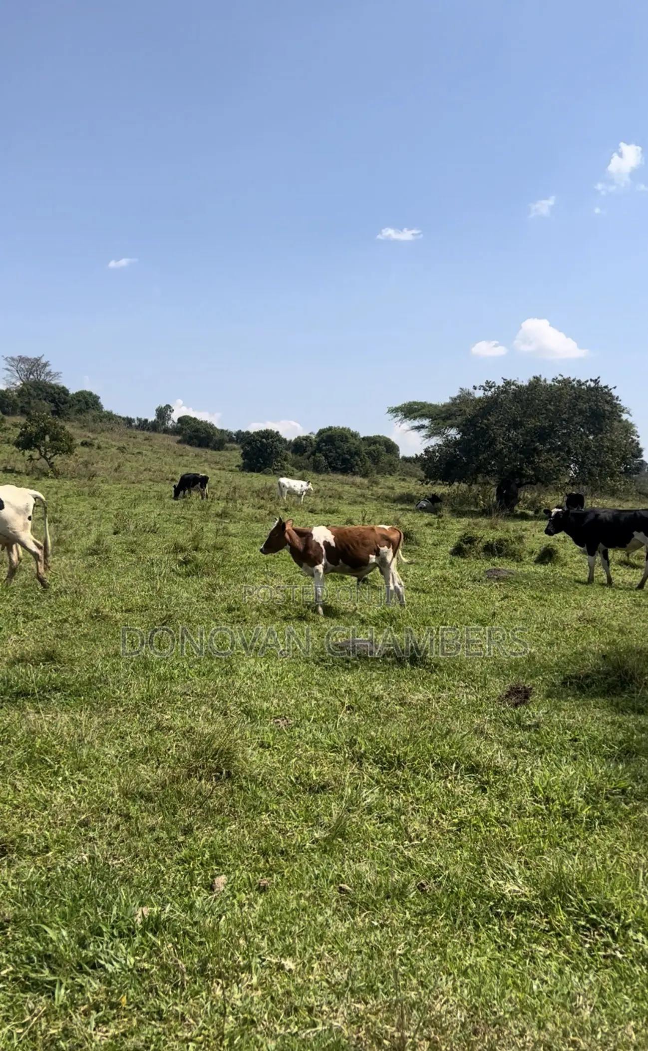 116 Acres of Freehold Land for Sale Off the Mbarara-Ibanda Rd