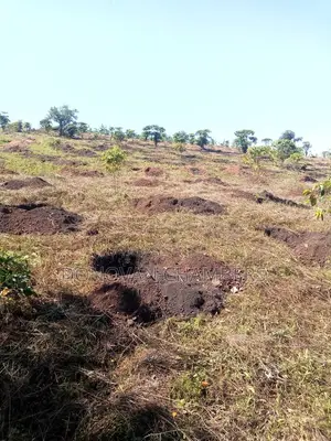116 Acres of Freehold Land for Sale Off the Mbarara-Ibanda Rd