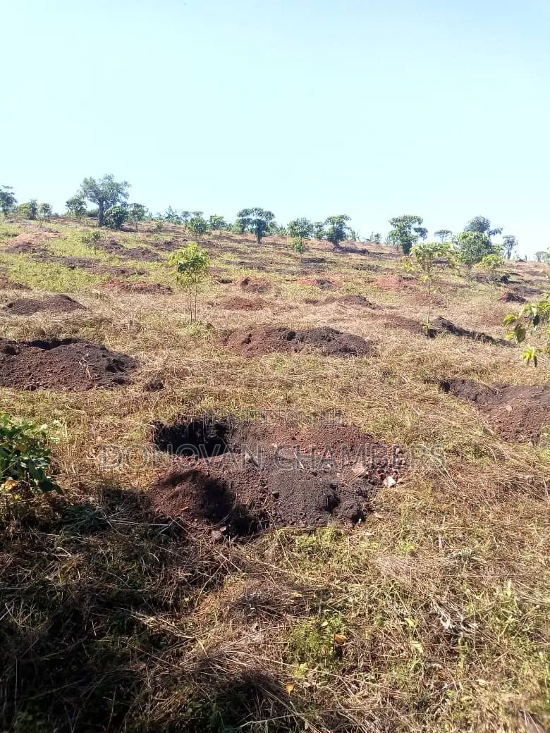 116 Acres of Freehold Land for Sale Off the Mbarara-Ibanda Rd