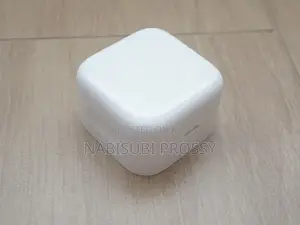 iPhone Adapter