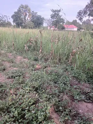 Plots for Sale in Soroti City .