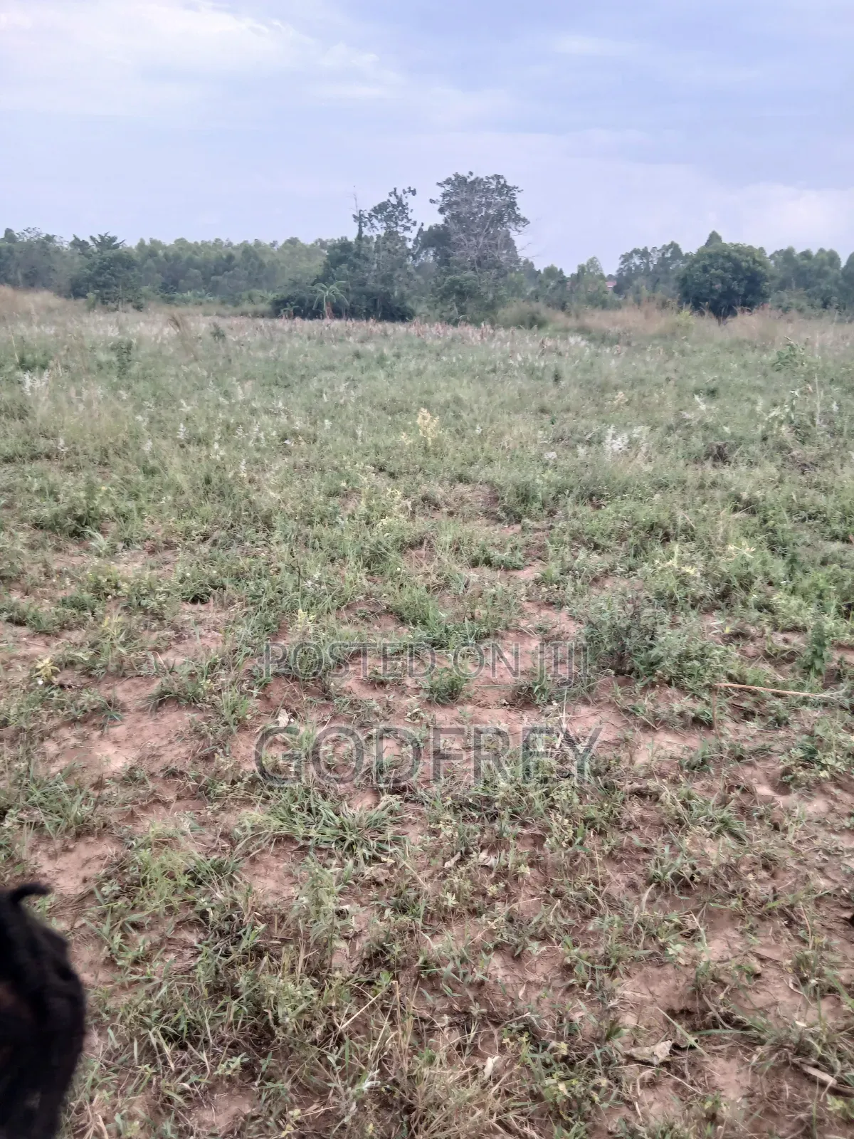 13 Acre Land for Sale in Soroti