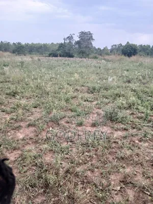13 Acre Land for Sale in Soroti