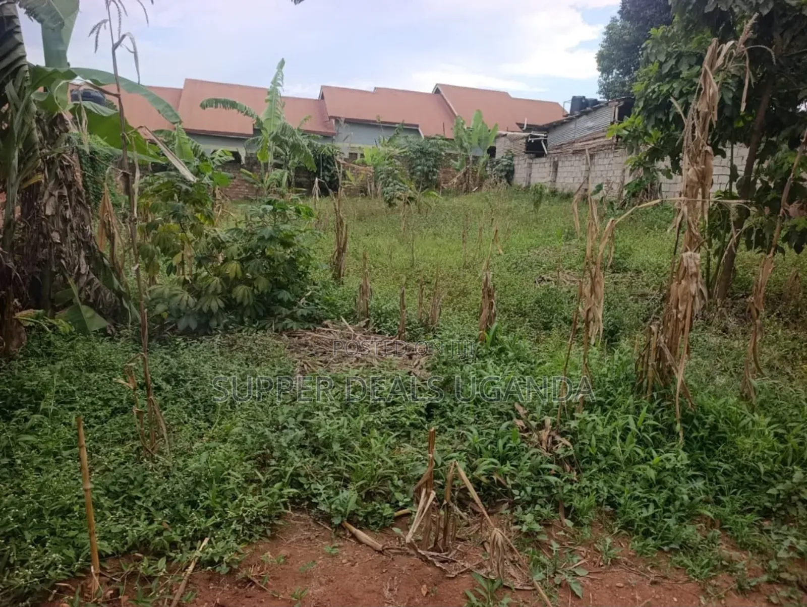 100by100ft for Sale in Kisaasi