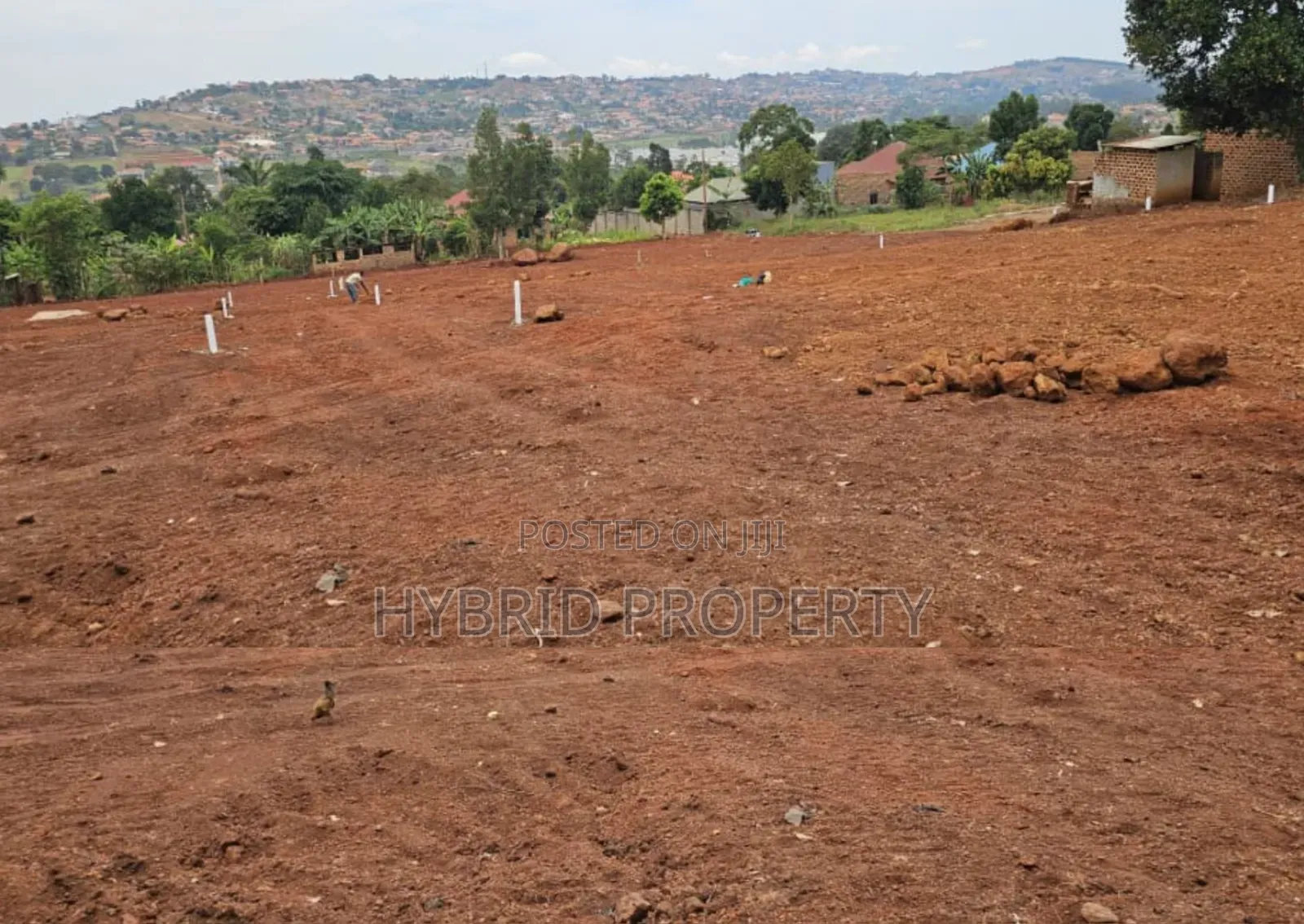 Prime Plots for Sale at Ssisa Hill View Land Estate Along Entebbe Road