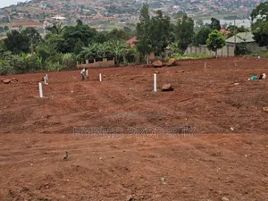 Prime Plots for Sale at Ssisa Hill View Land Estate Along Entebbe Road