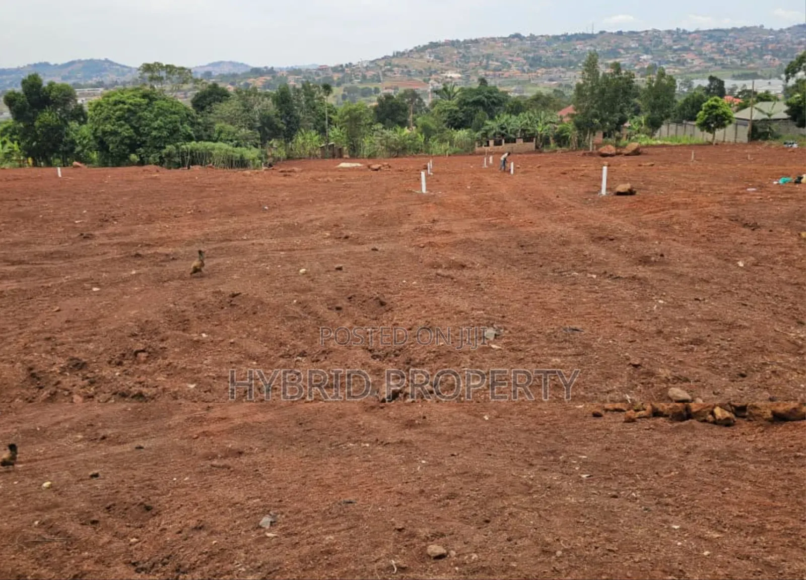 Prime Plots for Sale at Ssisa Hill View Land Estate Along Entebbe Road