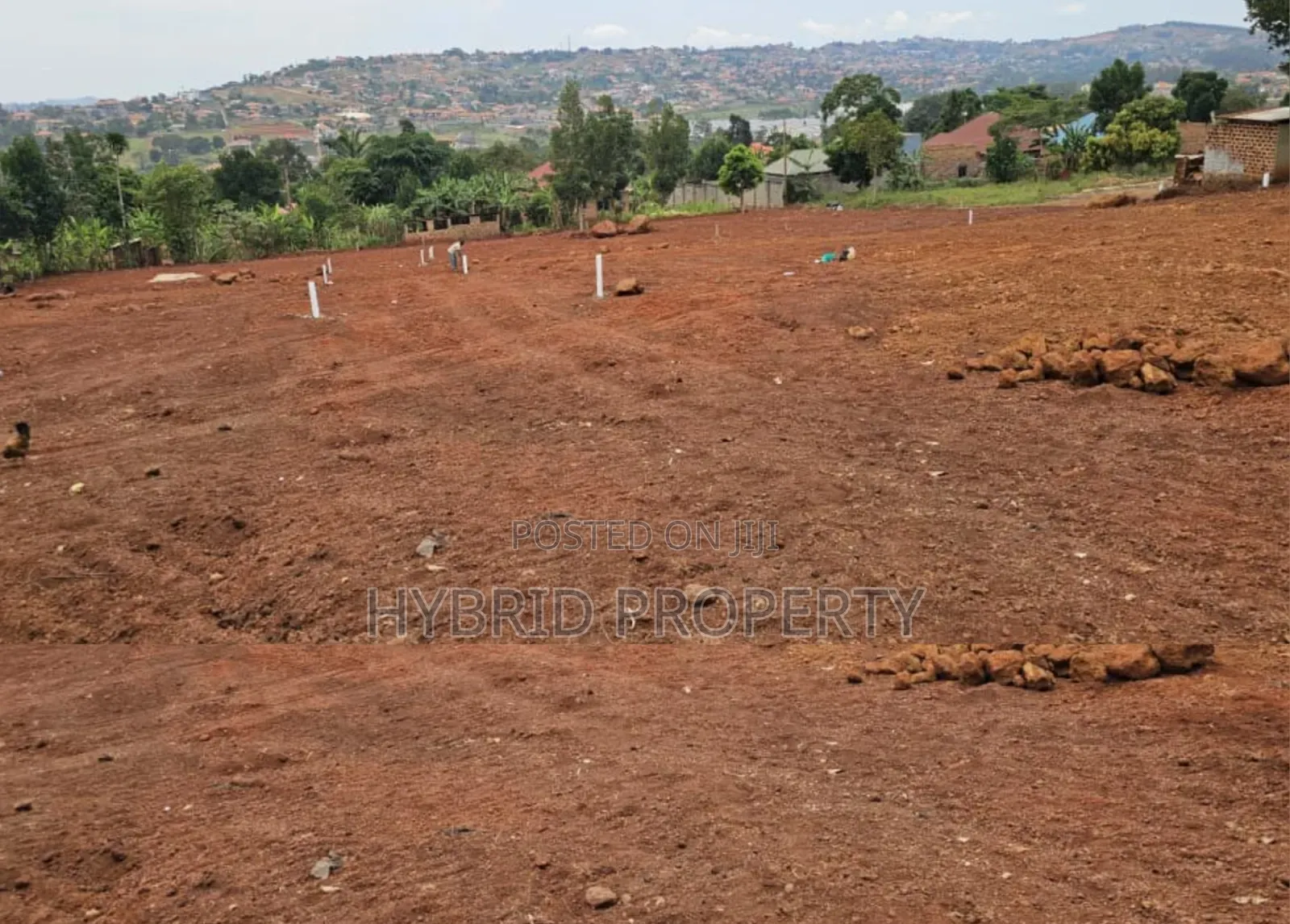 Prime Plots for Sale at Ssisa Hill View Land Estate Along Entebbe Road