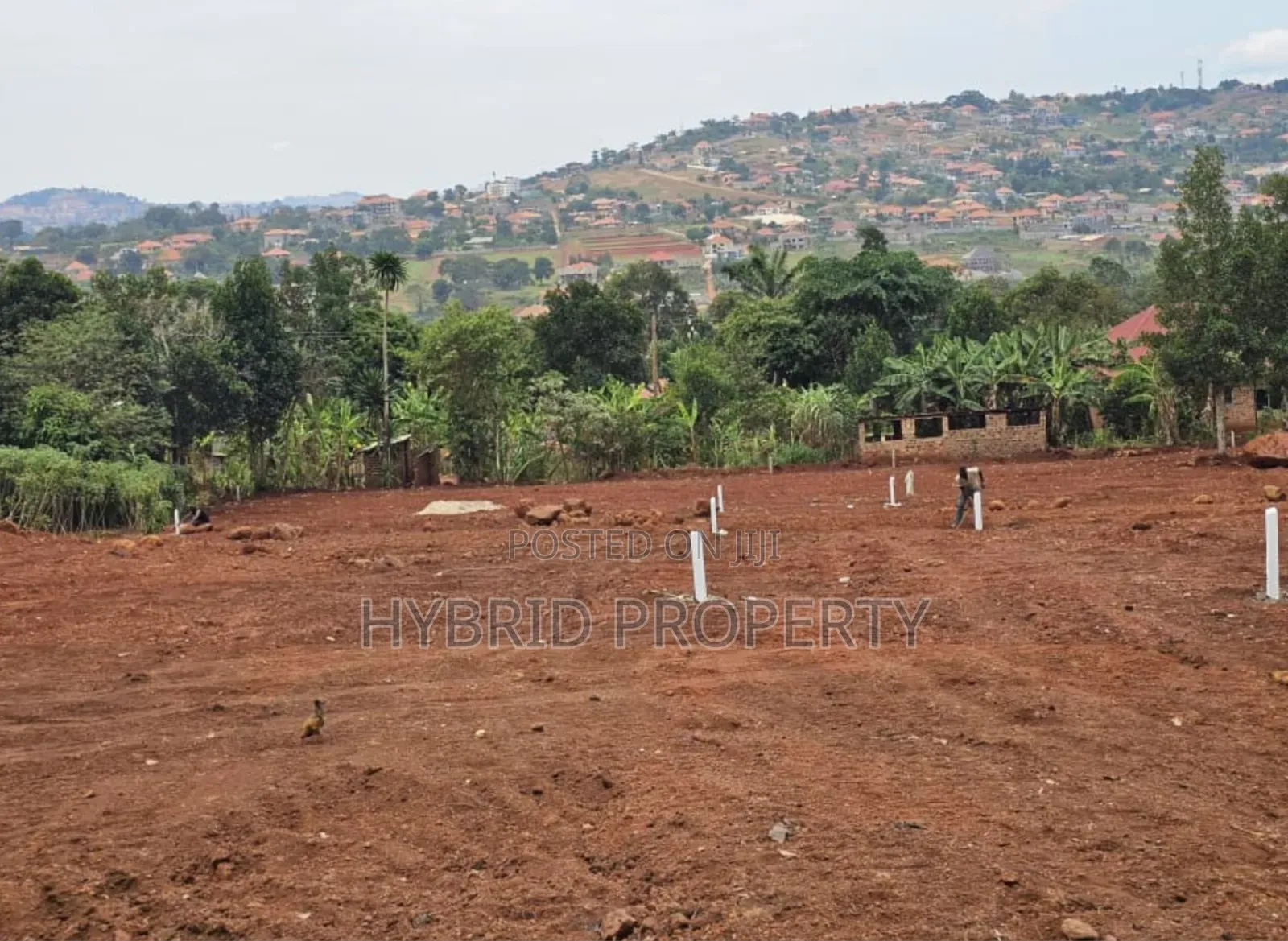 Prime Plots for Sale at Ssisa Hill View Land Estate Along Entebbe Road