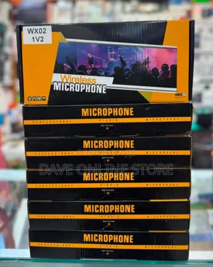 WX02 Double Wireless Microphone System